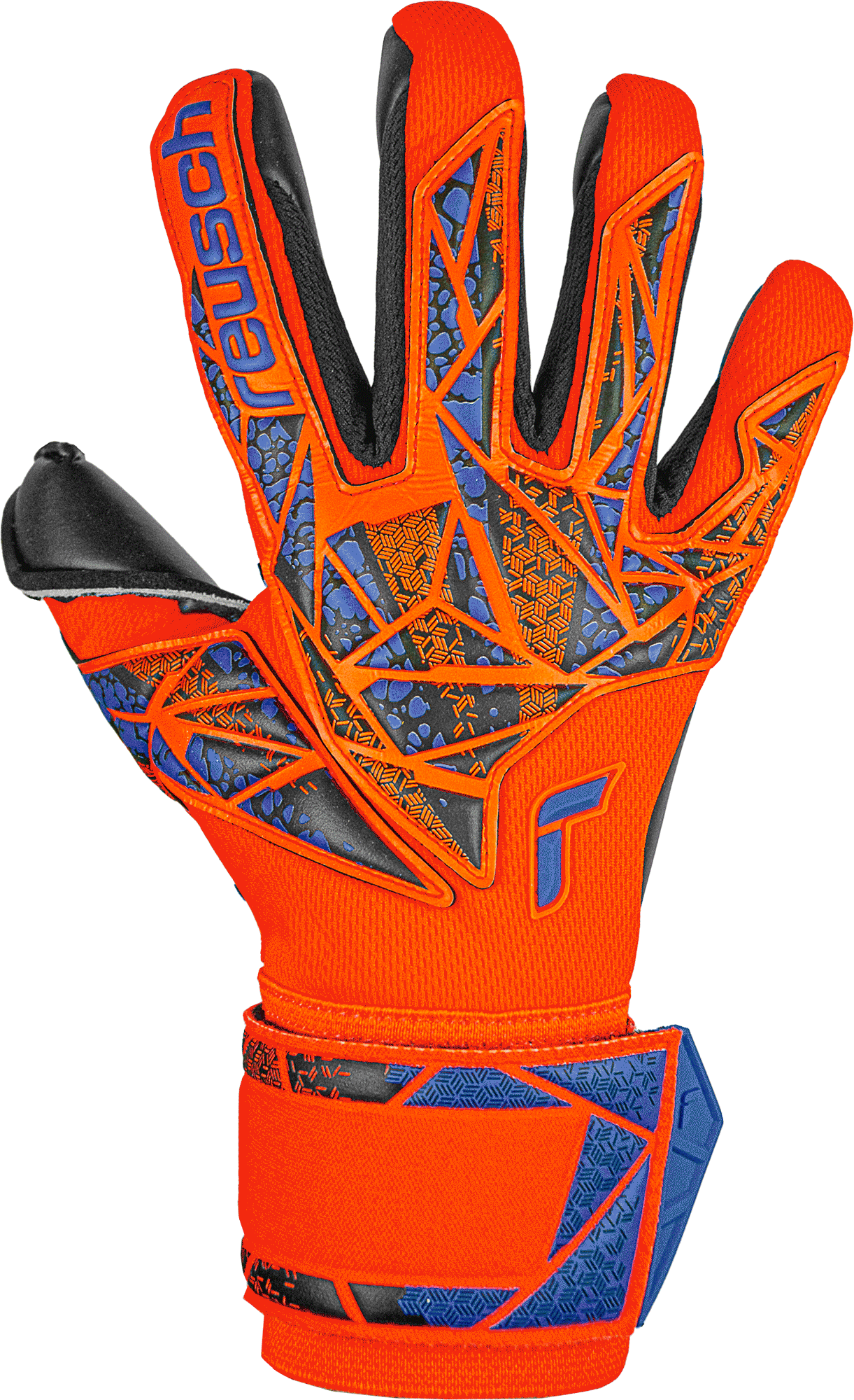 Attrakt Duo reusch